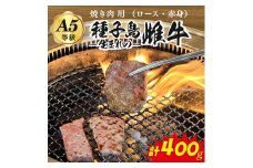 「 自慢 の逸品」 西之表市生まれの黒毛和牛  種子島 生まれ 雌牛 焼肉 用（400g）　NFN541 【600pt】 最高級 霜降り肉 焼肉用 霜降り イノシン酸 オレイン酸 豊富