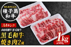 種子島 生まれ！ 黒毛 和牛 BBQ 焼肉セット 1kg　NFN547 【1425pt】 黒毛和牛 牛バラ 焼肉用 ウデ肉 赤身 BBQ 人気の部位 A4ランク オススメのセット 黒毛姫牛　西之表市生まれの黒毛和牛