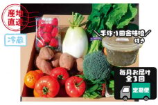 【３か月 定期便 】 種子島 の新鮮 野菜 と 果物 ７～１０品 と 田舎味噌1kg セット　NFN565 【1125pt】 // 100％ 国産大豆 手作り 味噌 旬の野菜 連続３か月 冷蔵  産地直送