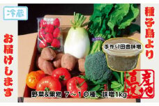 種子島 発！旬の 野菜 と 果物 と 手作り田舎味噌 セット　NFN564 【400pt】 // 旬 手作り みそ 味噌 100％ 国産大豆 美味しい 産地直送 冷蔵