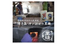 種子島 伝統製法 沖ヶ浜田 黒糖 と 塩黒糖 小粒 タイプ　NFN579【300pt】 // 純黒糖 塩黒糖 こだわり ジッパー付き 一口サイズ 携帯しやすい パッケージ 手作業 登録無形民俗文化財