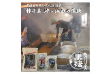 種子島 食べやすい 小粒 伝統製法 沖ヶ浜田 黒糖 詰め合わせ　NFN578【300pt】 // 純黒糖 塩黒糖 こだわり ジッパー付き 一口サイズ 携帯しやすい パッケージ 手作業 登録無形民俗文化財