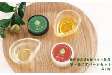 種子島 茶 & 椿 オイル で作った 茶&椿の実バーム 10g 種子の実オイル工房 NFN602 【250pt】