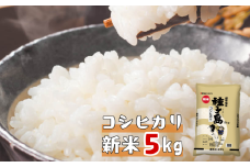 種子島 産 コシヒカリ 超 早場 米 5kg　NFN627【400pt】 // 新米 米 コシヒカリ こしひかり 早場米 超早場米 令和7年産