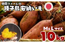 中園ファーム 種子島 安納いも ( 生芋 ) M,Lサイズ 10kg　NFN456【550pt】 // 安納芋 安納いも発祥の地 本場・安納地域産 糖度 熟成期間 G.I 保護制度 ブランド 金賞 生いも 芋 いも さつまいも