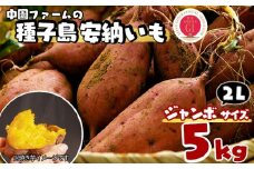 種子島 中園ファーム 安納いも ( 生芋 ) 2L ジャンボ サイズ 5kg　NFN458【300pt】 // 安納芋 安納いも発祥の地 本場・安納地域産 糖度 熟成期間 G.I 保護制度 ブランド 金賞 生いも 芋 いも さつまいも
