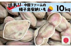 訳あり 中園ファーム 種子島 安納いも ( 生芋 ) 10kg　NFN459【300pt】// 安納芋 安納いも発祥の地 本場・安納地域産 糖度 熟成期間 G.I 保護制度 ブランド 金賞 生いも 芋 いも さつまいも 