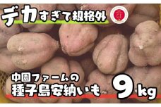 数量限定 中園ファーム 種子島 安納いも 規格外 特大サイズ 9kg　NFN476【350pt】 // 安納芋 安納いも発祥の地 本場・ 安納 産  蜜いも 熟成 糖度 G.I ブランド 金賞 生いも 芋 いも さつまいも