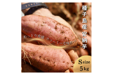 【  新物 ・先行予約 】 種子島  めっかり申さん 安納いも ( 生いも ) S サイズ 5kg　NFN629【300pt】