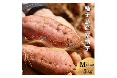 【  新物 ・先行予約 】 種子島  めっかり申さん 安納いも ( 生いも ) M サイズ 5kg　NFN631【300pt】