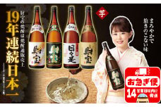 B2-2298／【芋焼酎】一升瓶４種飲み比べセット