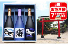 B2-25176／大海酒造 　720ml　3本セット