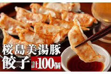 A1-30110／桜島美湯豚ぎょうざ20個入り（240g）×5