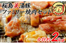 B2-4506／桜島美湯豚　ファミリー焼肉セット