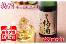 W-22167／濃厚な味わい！梅酒2本
