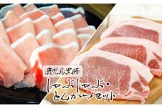 B2-1609／鹿児島黒豚しゃぶしゃぶ･とんかつセット