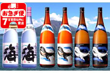 F6-2536／大海酒造 海シリーズ 1800ml×6本セット