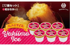 B2-5406／焼き芋アイス 紅はるか(12カップ)