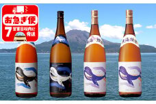 D4-25103／大海酒造くじらシリーズ　1800ml　4本セット