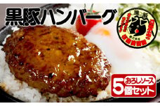 A1-30117／【黒豚】桜島美湯豚ハンバーグ（おろしソース）150g×5個