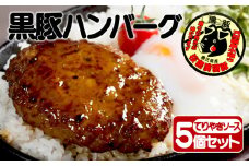A1-30118／【黒豚】桜島美湯豚ハンバーグ（てりやきソース）150g×5個