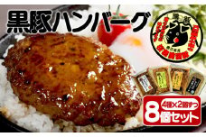 B2-3065／【黒豚】桜島美湯豚ハンバーグ（4種ミックス）150g×8個