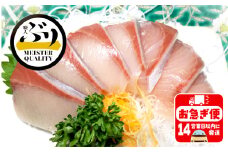 A1-47178／【鹿児島産ぶり】冷蔵・ぶりフィレ（半身1枚）