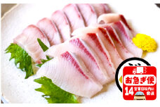 B2-4765／【鹿児島産ぶり】冷蔵・ぶり皮無ロイン（背腹計2ｐ）