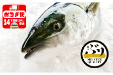 C3-4715／【鹿児島産ぶり】冷蔵・ぶり丸ごと1尾（内臓処理済み）