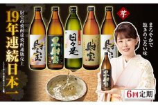 G7-2230／【 定期便 】 6回 届け・ 焼酎 4種5本 飲み比べセット 【5合瓶（芋）】 温泉水仕立て！ 財宝