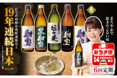 G7-2231／【 定期便 】 6回 届け・ 焼酎 4種5本 飲み比べセット 【5合瓶（麦）】 温泉水仕立て！ 財宝