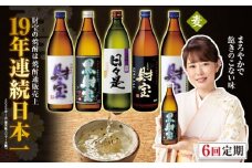 G7-2231／【 定期便 】 6回 届け・ 焼酎 4種5本 飲み比べセット 【5合瓶（麦）】 温泉水仕立て！ 財宝