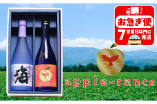 A1-25145／apple-rance 海 720ml 2本