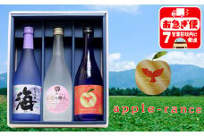 B2-25174／大海酒造 特選焼酎 720ml 3本セット