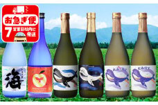 D4-25109／大海酒造こだわり焼酎 720ml 6本セット