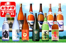 J13-2537／大海酒造 特選焼酎 1.8L 12本セット