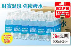 B2-22132／【3回定期】財寶温泉　強炭酸水 500ml×24本