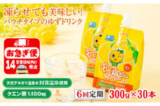 E5-2256／【6回定期】 ゆずドリンク 300g×30本 パウチ ゆずだもん。ウォーター
