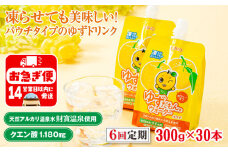 E5-2256／【6回定期】 ゆずドリンク 300g×30本 パウチ ゆずだもん。ウォーター
