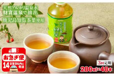 C3-22126／【3回定期】かごんま緑茶 280ml×48本 ペットボトル 鹿児島 知覧茶葉 使用 天然アルカリ温泉水 財寶温泉 抽出