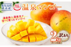B2-22134／【 訳あり品 】 鹿児島産 温泉マンゴー 2kg 期間限定 【2025年夏発送】