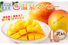 D4-2266／【 訳あり品 】 鹿児島産 温泉マンゴー 4kg 期間限定 【2025年夏発送】