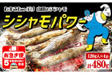 W-1802／冷凍 子持ち からふとししゃも シシャモパワー　480g（120g×4パック）