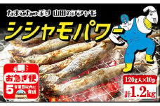 A1-1802／冷凍 子持ち からふとししゃも シシャモパワー　1.2kg（120g×10パック）