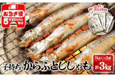 A1-1804／冷凍 子持ち からふとししゃも 3kg（1kg×3袋）