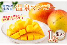 A1-22528／【 訳あり品 】 鹿児島産 温泉マンゴー 1kg 期間限定 【2025年夏発送】