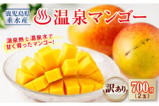 A1-22527／【 訳あり品 】 鹿児島産 温泉マンゴー 700g 期間限定 【2025年夏発送】