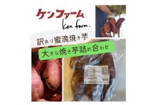A1-7002／【訳あり】蜜滴焼き芋（キズ・規格外（大きい芋））1kg【冷凍】