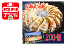 A1-0421／鹿児島県産桜島美湯豚　一口餃子　200個(20個×10パック)