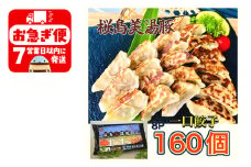 A1-0420／鹿児島県産桜島美湯豚　一口餃子　160個(20個×8パック)